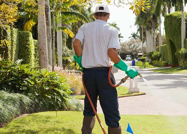 About Stoddard NH Pest Control